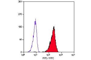 Staining of RAMOS cells with MOUSE ANTI HUMAN CD79a:FITC (ABIN118795). (CD79a 抗体  (FITC))