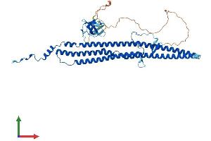 Protein Structure (PS) image for Growth Arrest-Specific 7 (GAS7) (AA 1-476) protein (His tag) (ABIN7547846)
