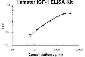Hamster IGF-1 PicoKine ELISA Kit standard curve (IGF1 ELISA 试剂盒)