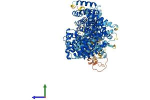 Protein Structure (PS) image for Mediator Complex Subunit 24 (MED24) (AA 1-989) protein (His tag) (ABIN7554547)