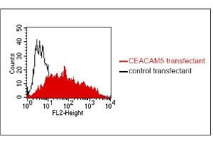 FACS analysis of BOSC23 cells using 4/3/17. (CEACAM1/5 抗体)