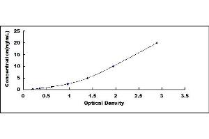 Typical standard curve (Fatty Acid Synthase ELISA 试剂盒)