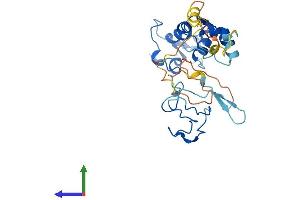 Protein Structure (PS) image for Chromosome 11 Open Reading Frame 46 (C11orf46) (AA 1-276) protein (His tag) (ABIN7558686)