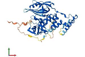 Protein Structure (PS) image for Cereblon (CRBN) (AA 1-445) protein (His tag) (ABIN7559184)
