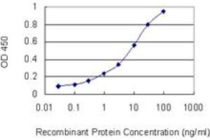 Detection limit for recombinant GST tagged HOXC6 is 0. (Homeobox C6 抗体  (AA 53-142))