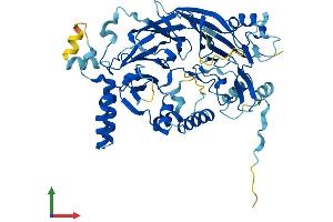 Protein Structure (PS) image for DET1 (DET1) (AA 1-550) protein (His tag) (ABIN7547022)