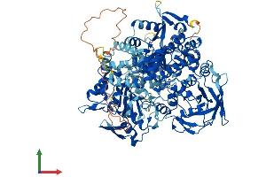 Protein Structure (PS) image for Iron-Responsive Element Binding Protein 2 (IREB2) (AA 1-963) protein (His tag) (ABIN7564317)
