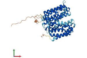 Protein Structure (PS) image for Solute Carrier Family 22 Member 18 (SLC22A18) (AA 1-424) protein (His tag) (ABIN7551617)