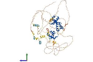 Protein Structure (PS) image for V-Myb Myeloblastosis Viral Oncogene Homolog (Avian)-Like 2 (MYBL2) (AA 1-704) protein (His tag) (ABIN7563326)