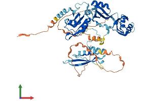 Protein Structure (PS) image for RNA Binding Motif Protein 46 (RBM46) (AA 1-533) protein (His tag) (ABIN7551216)