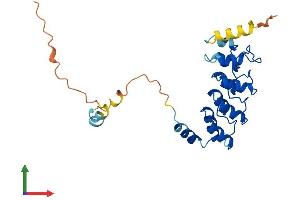 Protein Structure (PS) image for Ankyrin Repeat Domain 49 (ANKRD49) (AA 1-238) protein (His tag) (ABIN7559885)