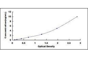 Dopamine Receptor D1 (DRD1) ELISA Kit