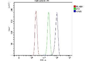 Flow Cytometry analysis of HL-60 cells using anti-GAB2 antibody (ABIN7600208).