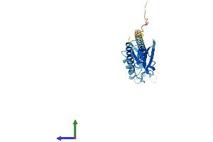 Protein Structure (PS) image for Proteasome (Prosome, Macropain) 26S Subunit, Non-ATPase, 9 (PSMD9) (AA 1-223) protein (His tag) (ABIN7551053)