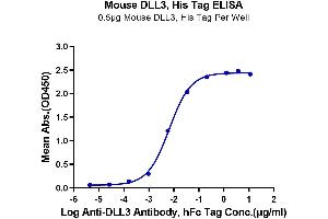 ELISA image for delta Like Protein 3 (DLL3) (AA 33-488) protein (His tag) (ABIN7274488)