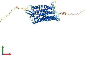 Protein Structure (PS) image for Complement Component 5a Receptor 1 (C5AR1) (AA 1-350) protein (His tag) (ABIN7552951)
