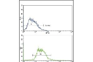 Flow cytometric analysis of HepG2 cells using GCG Antibody (N-term)(bottom histogram) compared to a negative control cell (top histogram). (Glucagon 抗体  (N-Term))