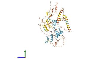 AlphaFold protein structure predicition of Human Recombinant IKZF1 Protein, UniprotID Q13422