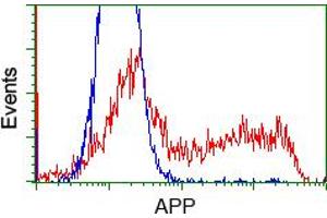 Image no. 2 for anti-Amyloid beta (A4) Precursor Protein (APP) antibody (ABIN1496878) (APP 抗体)