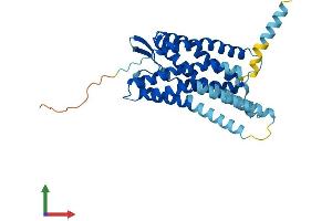 AlphaFold protein structure predicition of Human Recombinant P2RY6 Protein, UniprotID Q15077