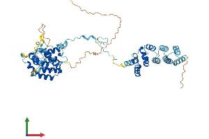Protein Structure (PS) image for CCR4-NOT Transcription Complex, Subunit 11 (CNOT11) (AA 1-505) protein (His tag) (ABIN7560672)