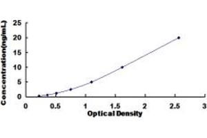 Typical standard curve (NDRG2 ELISA 试剂盒)