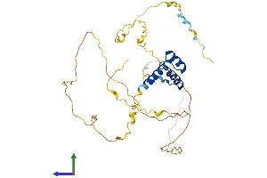 Protein Structure (PS) image for ALX Homeobox 3 (ALX3) (AA 1-343) protein (His tag) (ABIN7552021)