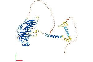 AlphaFold protein structure predicition of Human Recombinant SGCE Protein, UniprotID O43556