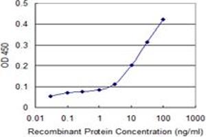 Detection limit for recombinant GST tagged ATG12 is 1 ng/ml as a capture antibody. (ATG12 抗体  (AA 1-140))