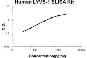 Human LYVE-1 PicoKine ELISA Kit standard curve (LYVE1 ELISA 试剂盒)
