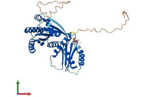 Protein Structure (PS) image for Ras-Related GTP Binding B (RRAGB) (AA 1-374) protein (His tag) (ABIN7551561)