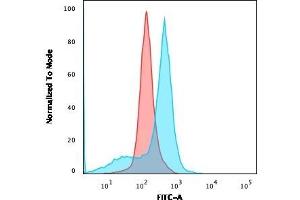 Flow Cytometric Analysis of U87MG cells using CD73 Mouse Monoclonal Antibody (NT5E/2545) followed by goat anti-Mouse IgG-CF488 (Blue); Isotype Control (Red). (CD73 抗体)