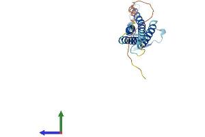 Protein Structure (PS) image for Claudin 2 (CLDN2) (AA 1-230) protein (His tag) (ABIN7562626)