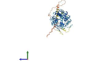 AlphaFold protein structure predicition of Human Recombinant ZNF479 Protein, UniprotID Q96JC4