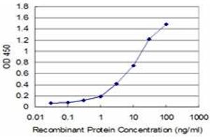 Detection limit for recombinant GST tagged CTH is approximately 1ng/ml as a capture antibody. (CTH 抗体  (AA 1-405))