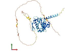 Protein Structure (PS) image for BCL2/adenovirus E1B 19kDa Interacting Protein 2 (BNIP2) (AA 1-326) protein (His tag) (ABIN7562448)