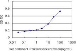 Detection limit for recombinant GST tagged GRHL3 is approximately 0. (GRHL3 抗体  (AA 101-200))