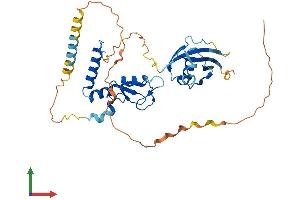 Protein Structure (PS) image for Polycomb Group Ring Finger 6 (PCGF6) (AA 1-350) protein (His tag) (ABIN7550581)