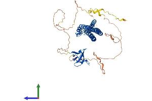 AlphaFold protein structure predicition of Mouse Recombinant Baiap2 Protein, UniprotID Q8BKX1 (BAIAP2 Protein (AA 1-535) (His tag))