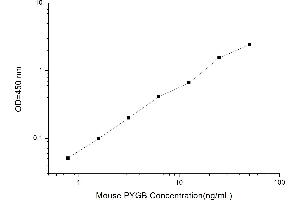 Typical standard curve (PYGB ELISA 试剂盒)