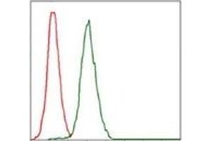 Flow Cytometry (FACS) image for anti-Replication Protein A1, 70kDa (RPA1) antibody (ABIN1108896) (RPA1 抗体)