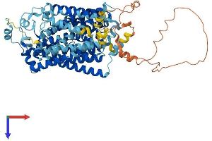 SLC5A3 Protein (AA 1-718) (His tag)
