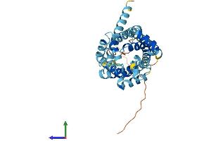 Protein Structure (PS) image for Solute Carrier Family 25, Member 37 (SLC25A37) (AA 1-338) protein (His tag) (ABIN7560174)