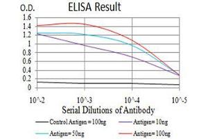 Black line: Control Antigen (100 ng), Purple line: Antigen(10 ng), Blue line: Antigen (50 ng), Red line: Antigen (100 ng), (SIRT6 抗体  (AA 141-250))