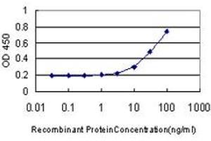 Detection limit for recombinant GST tagged AADAC is approximately 3ng/ml as a capture antibody. (AADAC 抗体  (AA 201-300))