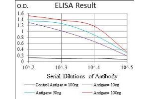 Black line: Control Antigen (100 ng), Purple line: Antigen(10 ng), Blue line: Antigen (50 ng), Red line: Antigen (100 ng), (GSC 抗体  (AA 191-257))
