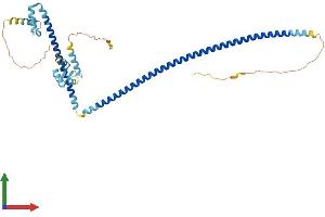 AlphaFold protein structure predicition of Human Recombinant CRACR2B Protein, UniprotID Q8N4Y2
