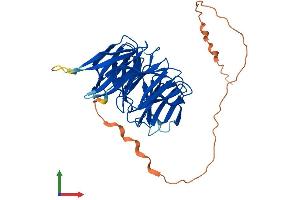 AlphaFold protein structure predicition of Mouse Recombinant Pak1ip1 Protein, UniprotID Q9DCE5