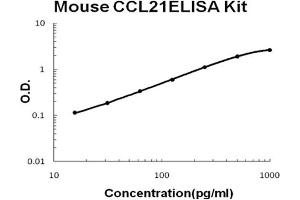 Mouse CCL21/6Ckine Accusignal ELISA Kit Mouse CCL21/6Ckine AccuSignal ELISA Kit standard curve. (CCL21 ELISA 试剂盒)