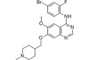Chemical structure of Vandetinib , a VEGFRK inhibitor. (Vandetanib)